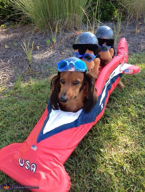 3rd Annual Weiner Dog Races!